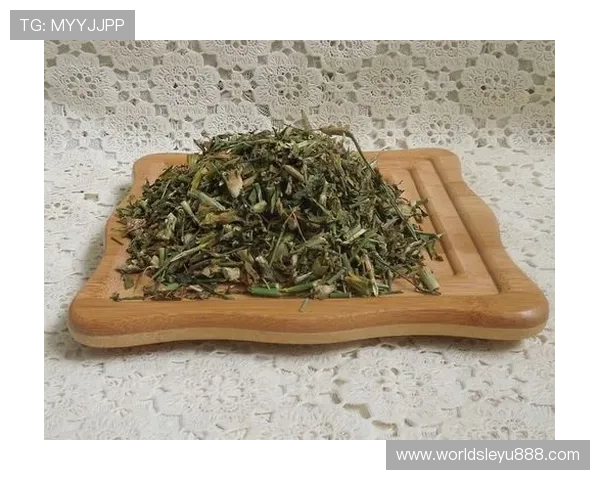 乐投letou手机:优化手机界面设计提升用户体验的实用技巧 乐投letou手机:优化手机界面设计提升用户体验的实用技巧