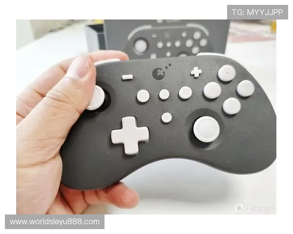 乐鱼平台入口安全可靠，确保玩家顺利进入游戏环境的详细操作指南