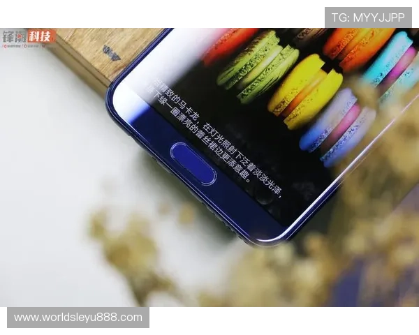 乐鱼手机版会员登录入口全面指南帮助用户快速顺利登录体验更佳