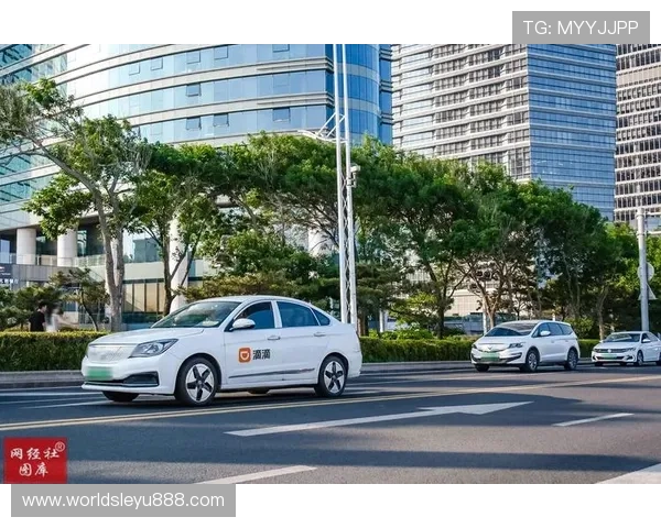 乐鱼网怎么样？平台在技术创新和客户服务方面的最新表现分析